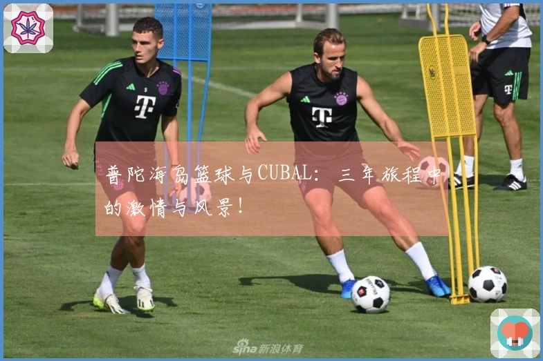 普陀海岛篮球与CUBAL：三年旅程中的激情与风景！